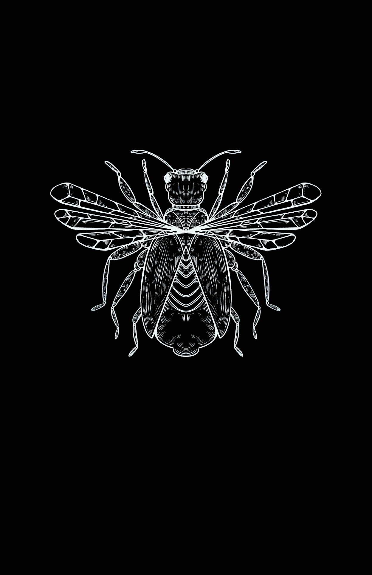 La Colisión - Imagen 2